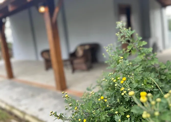 Cabana Estufa