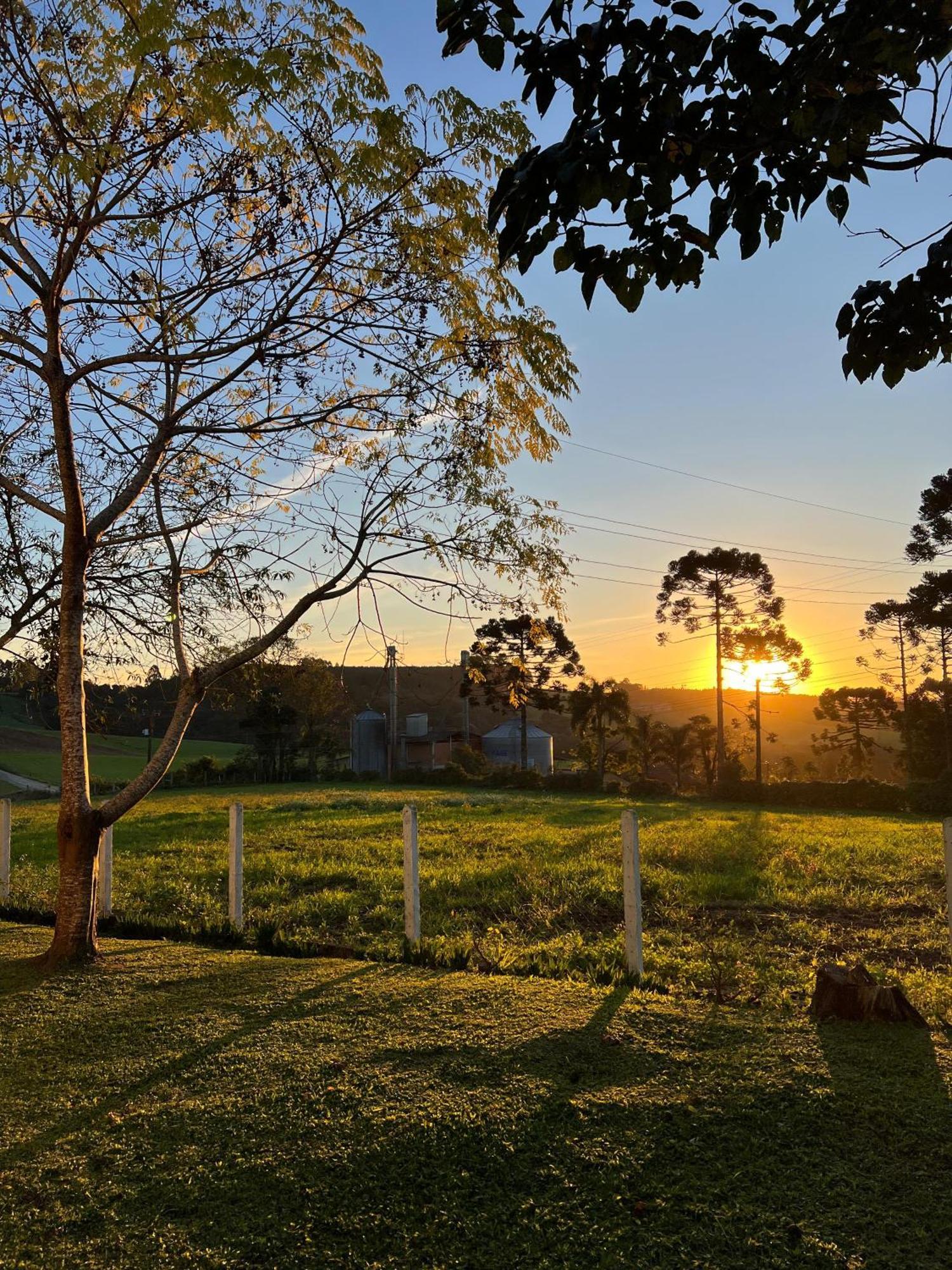 Estufa *